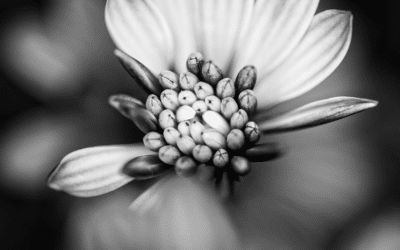 Perfectly Imperfect: How to Unhook Your Perfectionism From Your Business – and Health