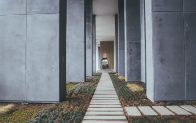 The Space Between Knowing and Doing:  How conditioning shapes our ability to act on what we know